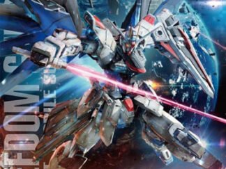 GUNDAM - MG Freedom Gundam Ver 2.0 1/100