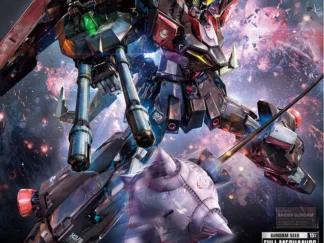 MG 1/100 Full Mechanics Raider