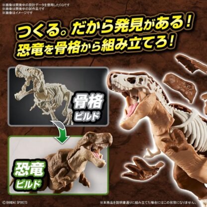 New Dinosaur Plastic Tyrannosaurus (Tentative) – Image 5