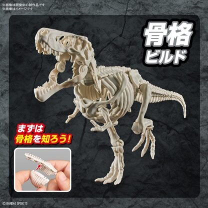 New Dinosaur Plastic Tyrannosaurus (Tentative) – Image 6