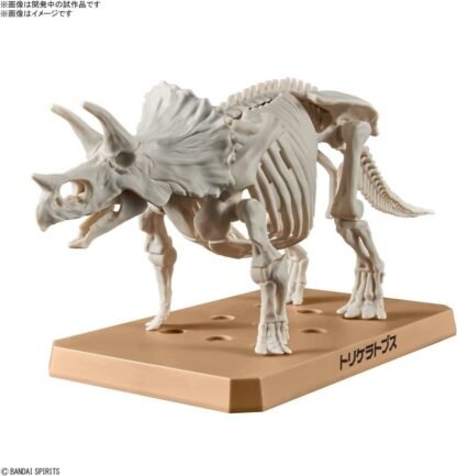 New Dinosaur Plastic Triceratops (Tentative) – Image 4