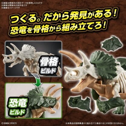 New Dinosaur Plastic Triceratops (Tentative) – Image 5