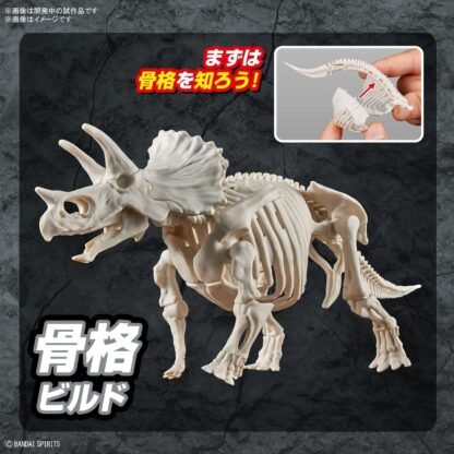 New Dinosaur Plastic Triceratops (Tentative) – Image 6