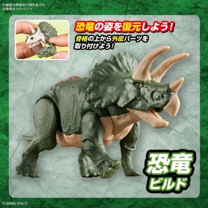 New Dinosaur Plastic Triceratops (Tentative) – Image 7